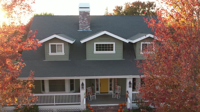 Best Roof Moss and Algae Removal  in Valley Mills, TX