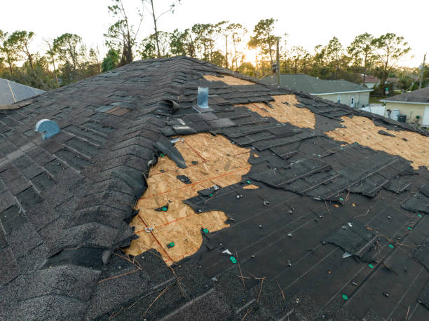 Best Roof Ventilation Installation  in Valley Mills, TX